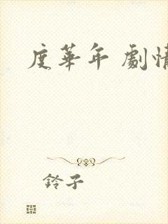 度华年 剧情封面