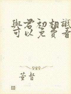 与君初相识哪里可以免费看封面