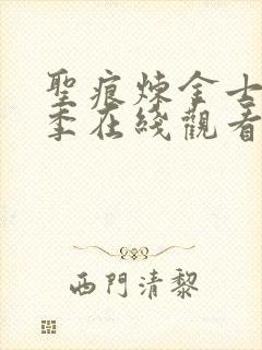 圣痕炼金士第3季在线观看全集免费高清封面