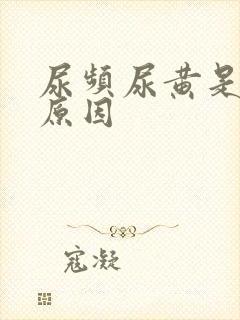 尿频尿黄是什么原因封面