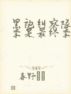 黑袍纠察队第五季是最终季吗