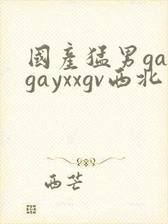 国产猛男gaygayxxgv西北军军