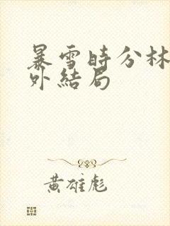 暴雪时分林霖番外结局