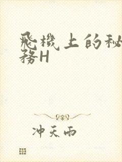 飞机上的秘密服务H