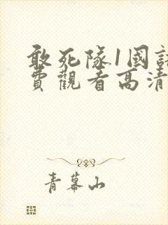 敢死队1国语免费观看高清完整版封面