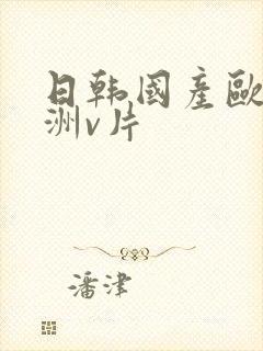日韩国产欧美亚洲v片