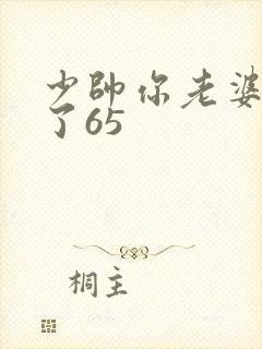 少帅你老婆又跑了65
