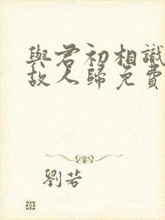 与君初相识恰似故人归免费观看完整封面