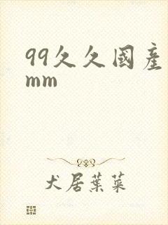 99久久国产精mm