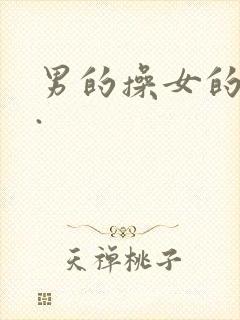 男的操女的视频.