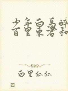 少年白马醉春风百里东君和玥瑶结局封面