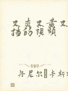 又爽又黄又无遮挡的视频封面