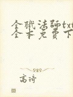 全职法师txt全本免费下载