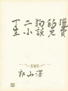 丁二狗的猎艳人生小说免费全文下载