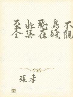 至此飞鸟不相逢全集在线观看