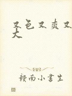 又色又爽又黄又大