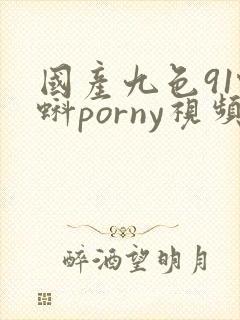 国产九色91蝌蚪porny视频网