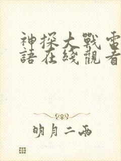 神探大战电影国语在线观看免费完整版