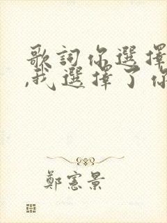 歌词你选择了我,我选择了你