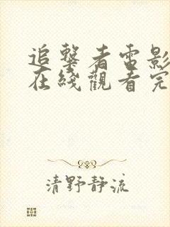 追击者电影高清在线观看完整版封面