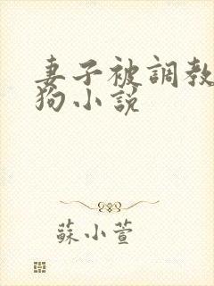 妻子被调教成母狗小说