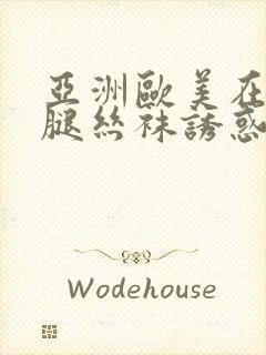 亚洲欧美在线美腿丝袜诱惑