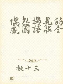 偶然遇见的你韩剧国语版全集免费