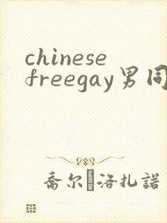 chinesefreegay男同