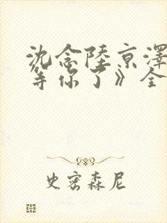 沈念陆京泽《不等你了》全文