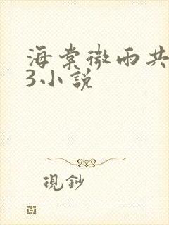 海棠微雨共归途3小说