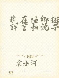 我在他乡挺好的许言和沈子畅结局