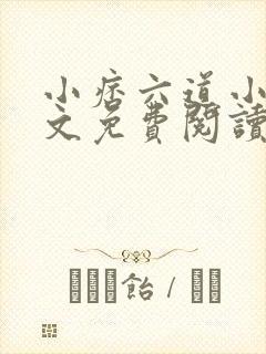 小痞六道小说全文免费阅读