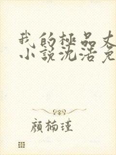 我的极品丈母娘小说沈浩免费阅读