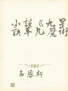 小说《九星霸体诀平凡魔术师》