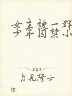 女主被一群病娇少年囚禁小说封面