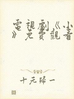 电视剧《小敏家》免费观看