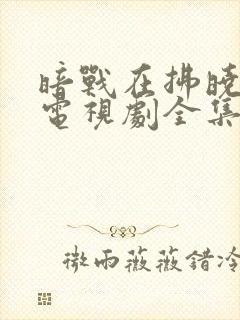 暗战在拂晓之前电视剧全集免费观看