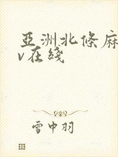 亚洲北条麻妃av在线