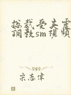 总裁受夹震蛋h调教sm视频