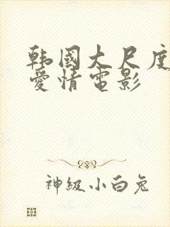 韩国大尺度伦理爱情电影