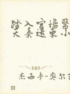 踏入官场医道问天秦远东小说