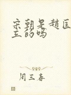 宋朝是赵匡胤建立的吗封面