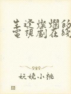 生逢灿烂的日子电视剧在线观看免费