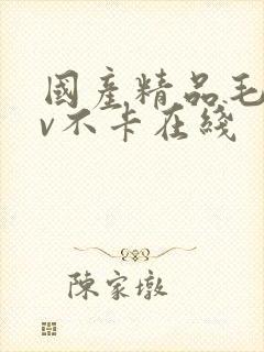 国产精品毛片av不卡在线