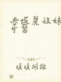 赤坂丽姐妹牙医牙医