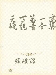 天下第一高清在线观看全集免费
