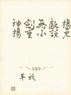 神剑无敌杨小天杨重小说免费阅读封面