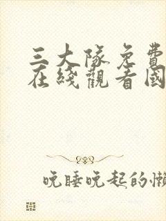 三大队免费完整在线观看国语