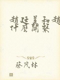 赵廷美和赵匡胤什么关系