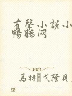 有声小说小苮儿畅听网